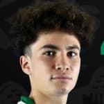 А. Карадемир