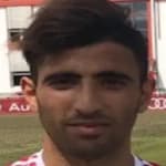 Л. Бен Хассине