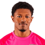 Г. Беллагамби