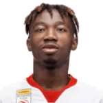 Н. Доргелес