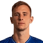 Л. Стоджкович