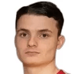 Д. Салчинович