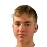 К. Стеинсет