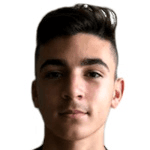 М. Скаркелла