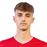 Дж. Джанитзек