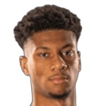 Н. Фернандез-Велиз