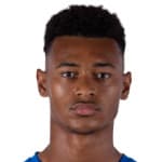 Лоик Виллиамс