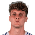 Г. Пиккинини