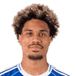 Ф. Лемаречал