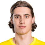 Ņ. Парфджоновс