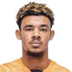 Р. Виллиамс