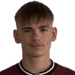 Н. Зиллиокс