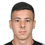 Л. Палмисани