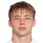 Н. Салтиков