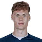 М. Панневиг