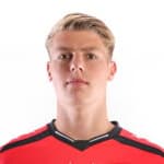 Т. Виеггерс