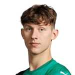 Р. Джансонас