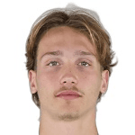 Л. Монтикелли