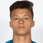 Д. Василджев