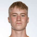 Д. Гудджохнсен