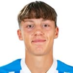 Ф. Парравикини