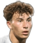 Л. Ди Маггио