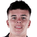 К. Робинсон