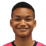 Н. Ишиватари