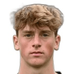 Е. Де Влэминк