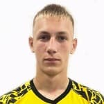 В. Василджев