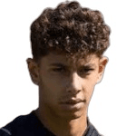 Л. Гразиани