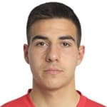 Н. Шевченко