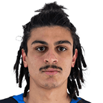 Г. Робакидзе