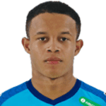 Педро Хенрикве