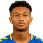 Д. Адджеи-Херсеи