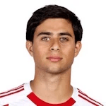 Л. Скипиони