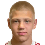 Д. Шерстобитов