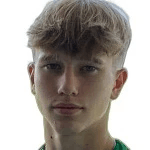 И. Мендолин