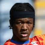 Х. Лодовика