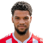 Р. ван Еиджма