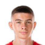 Н. Аджанович