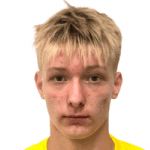 Н. Никифоров