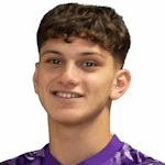 Н. Əхмəдзадə