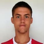 У. Стеванчевич