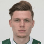 Д. Вармердам