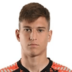 Л. Саватович