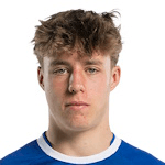 Т. Де Влиегер