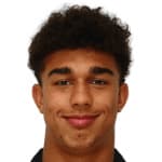 Д. Вавассори