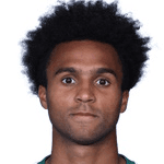 Е. Палмер-Бровн