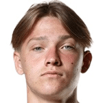 Н. Климавичиус